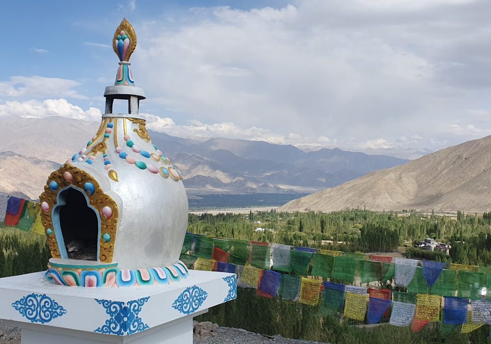 View of Ladakh (1)
